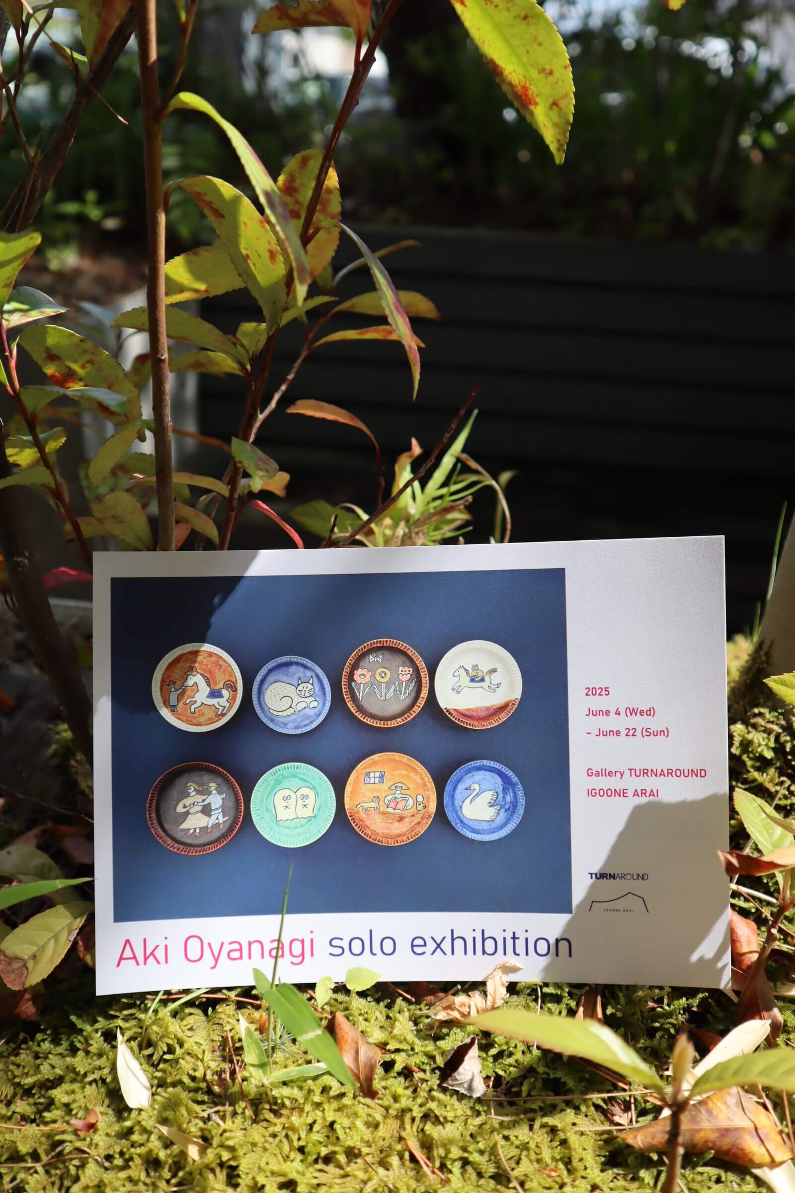 イグーネ　個展「Aki Oyanagi solo exhibition」を開催しました　#大柳暁