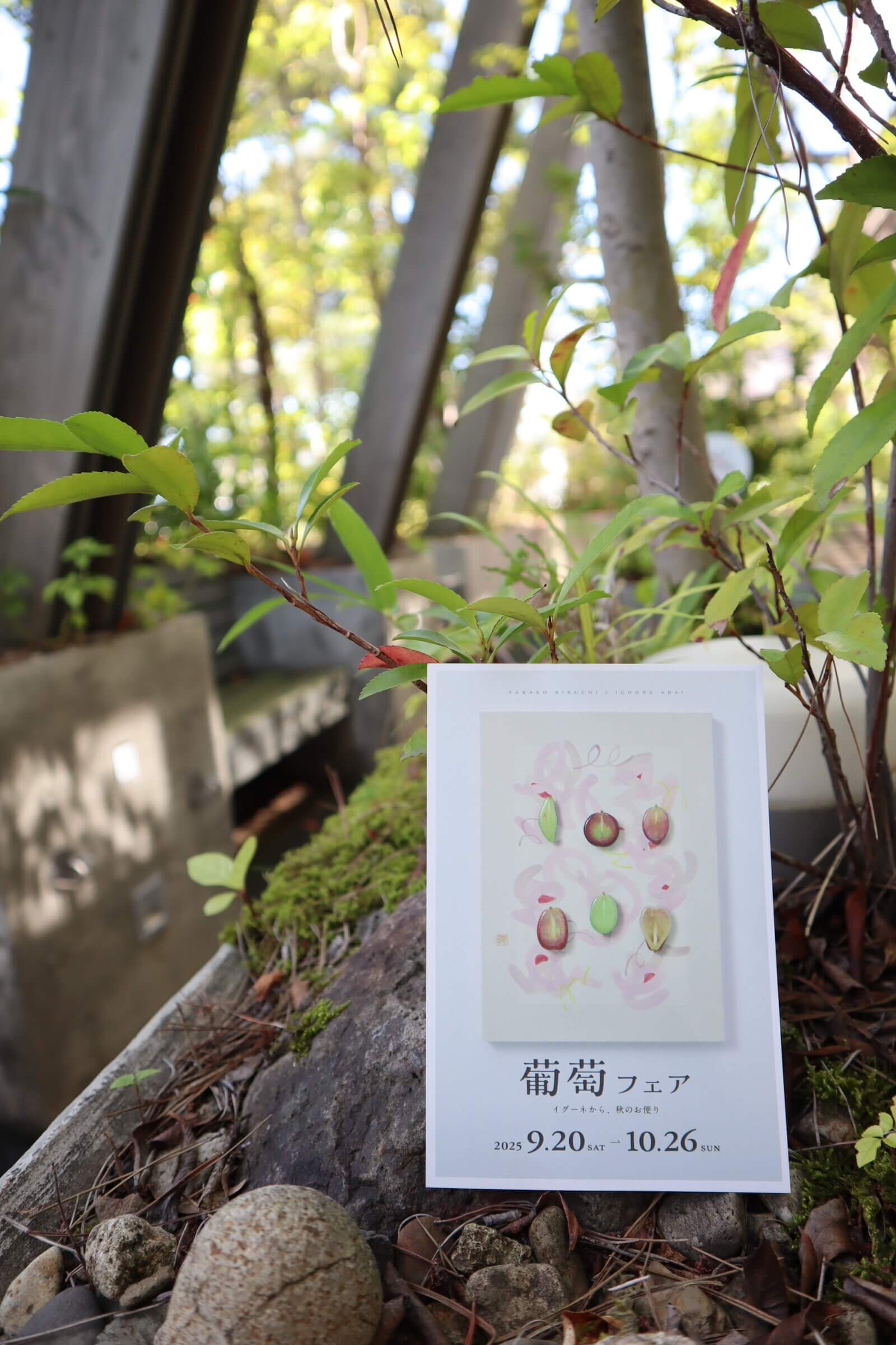 イグーネ「葡萄フェア」を開催しました　#菊地貴子